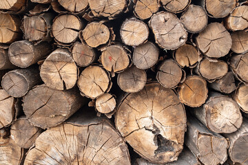 A high-angle, detailed shot of a rustic pile of freshly cut firewood logs, showcasing the natural textures and rough-cut ends. This image captures an earthy, raw feel, perfect for nature and homestead