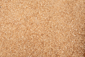 Close-up texture of natural wood shavings. Curly sawdust from carpentry and woodworking process, used for animal bedding, eco fuel, or packing material