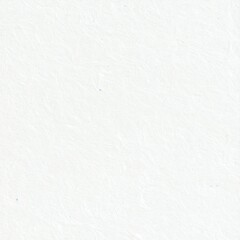 Delicate White Paper Texture Backdrop with Fine Fiber Detail Material