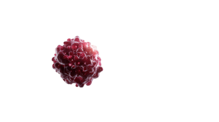 A single red, spiky cell isolated on a transparent background, representing a concept in biology or medicine