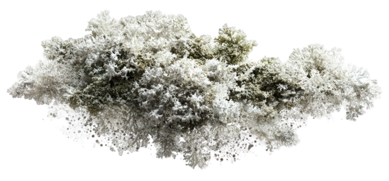 Rough, textured mineral cluster in light and dark gray tones