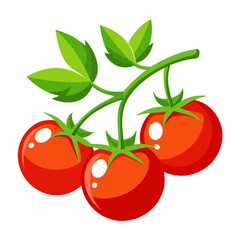 cherry tomatoes vector