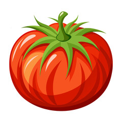 tomato vector illustration