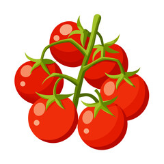 cherry tomatoes vector illustration