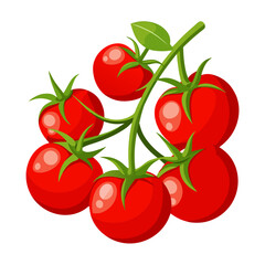 cherry tomatoes isolated on white