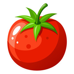 tomato vector illustration