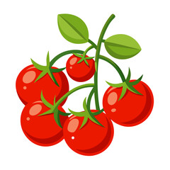 tomatoes on a branch