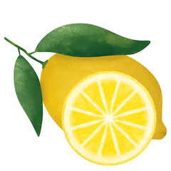Sliced Lemon And Whole Lemon With Leaves Illustration