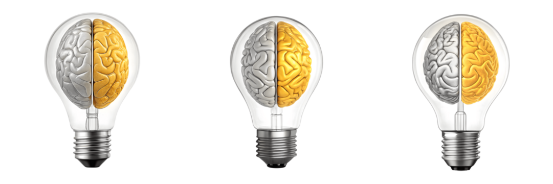 Set For lightbulbs with brains inside isolated on transparent background