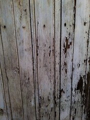Old wood texture backgrounds 