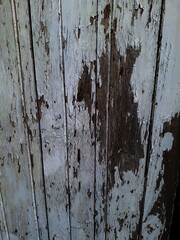 Old wood texture backgrounds 