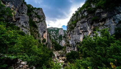 Mountain gorge with lush vegetation