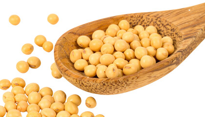 Isolated close-up of organic yellow soybeans in a wooden spoon, a healthy vegetarian snack ingredient