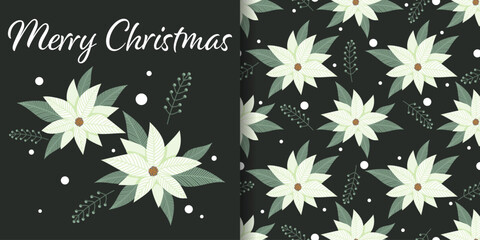 Christmas holiday banner and seamless pattern of white Poinsettia with Merry Christmas text, Christmas flowers with leaves and green berries on black background with snowflakes.