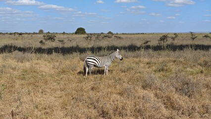 Nairobi National Park, Nairobi, Kenya