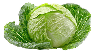 Obraz premium Close-up of a fresh head of cabbage