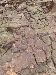 dry cracked earth