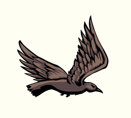 Vector drawing. Big flying bird