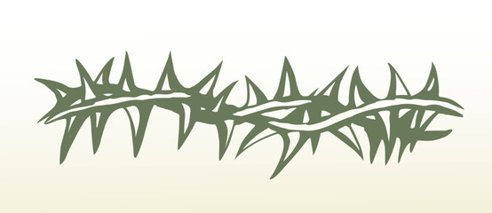 Vector drawing. Big thorn branch © Marina