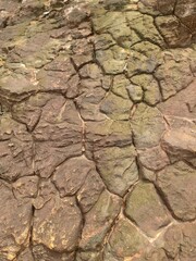 dry cracked earth