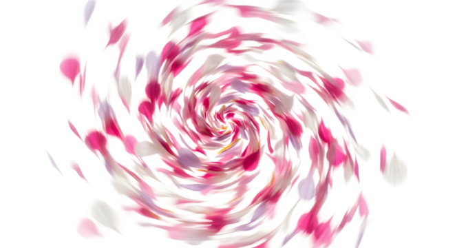 Abstract swirl of pink and white floral petals    .ai generative, transparent background, white background. isolated on white background, png, jpeg, jpg.
