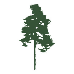 Pine Tree