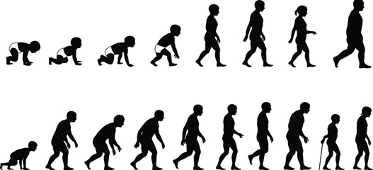 Silhouette illustration showing human life stages, from crawling baby to elderly adult, depicting growth, aging, evolution, development, and life transition concept.