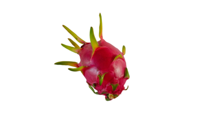 Dragon fruit isolated on Transparent background.