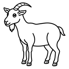 goat isolated on white