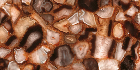 pine cone background