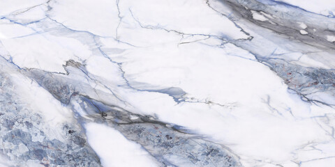 snow covered branches of tree
