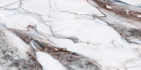 snow covered branches