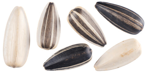 Assortment of sunflower seeds with striped and plain shells food snack isolated on a transparent background