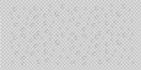 Transparent Water Droplet PNG Vector