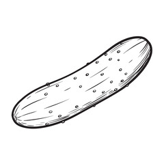 black and white silhouette of cucumber vector on white background