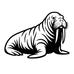 Striking black and white illustration of a walrus, showcasing its prominent tusks and textured skin.