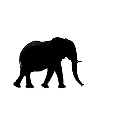 Fototapeta premium Majestic elephant silhouette, a symbol of strength and wisdom, perfect for conservation campaigns, wildlife documentaries, and impactful environmental storytelling projects