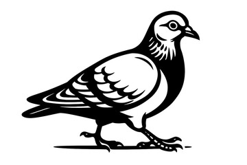 Obraz premium A stylized black and white graphic of a pigeon walking, with detailed feathers and a sharp eye. A classic representation of an urban bird.