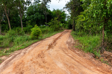 Fototapeta premium A sunlit country path winds through a peaceful green forest