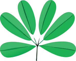 Vibrant green compound leaf with five elongated leaflets radiating from a central stem a simple botanical representation