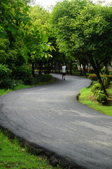 People walk for exercise. Fresh green lawns in the park. Blur nature bokeh green park trees in morning.