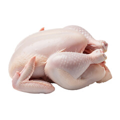 Raw whole chicken, white background isolated