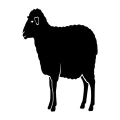 Silhouette of a sheep standing in profile, facing left, against a white background.