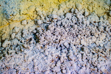 the edge of the lake polluted with toxic mining chemical residuals