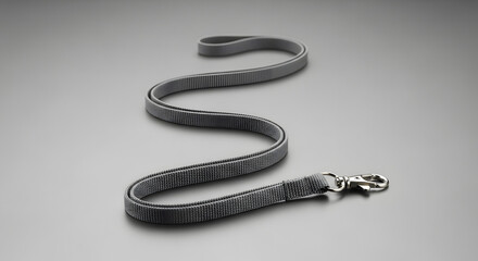 Elegant and practical gray pet leash, designed for comfortable and secure dog walking, featuring a durable clasp and refined textured material, perfect for daily outdoor adventures