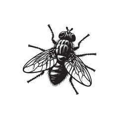 Housefly Vector (1).eps