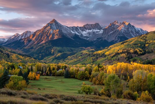 FALL SEASON