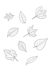 set of leaves
