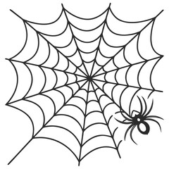 
Spider web wallpaper
