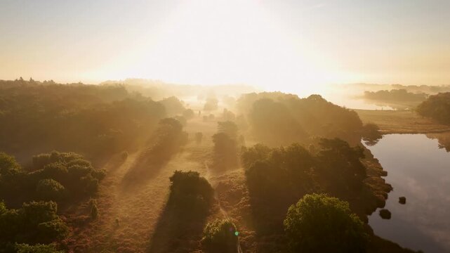 Golden sunrise illuminating misty heath landscape